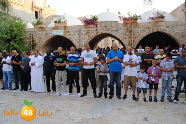 mahmoduia 3eed 808 (47).JPG